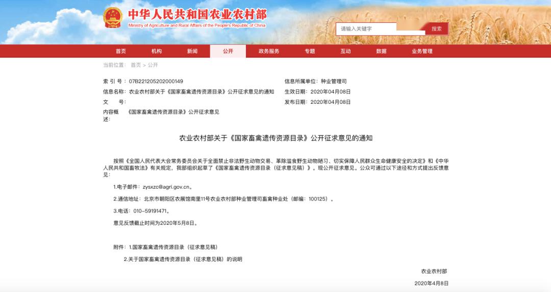 我国将全面禁食狗肉？先别忙着高兴，还需要你的助力！