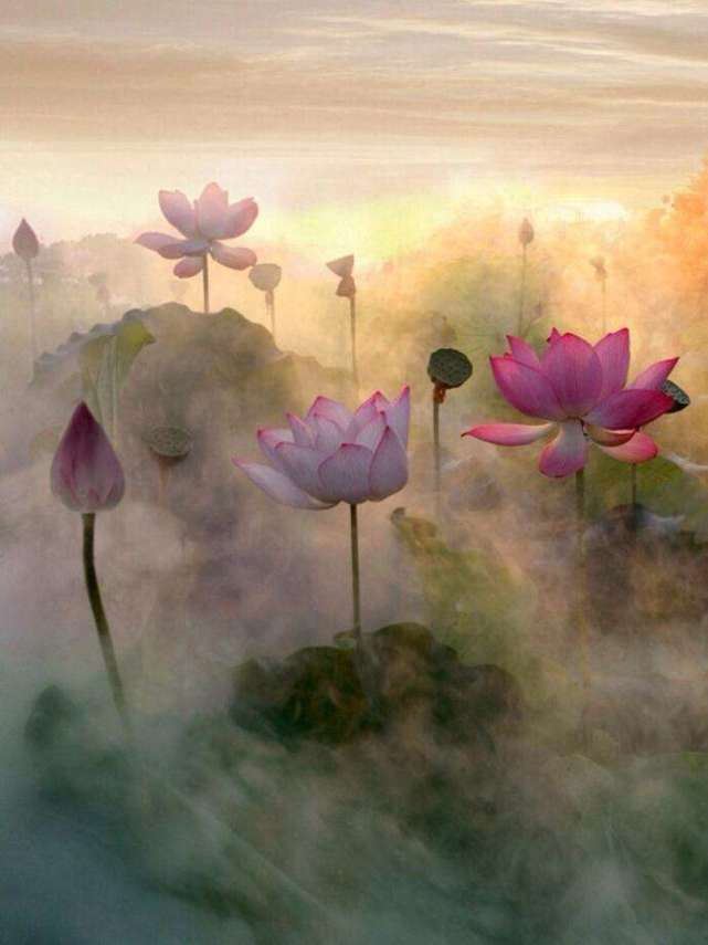 我们不知道，阿弥陀佛时刻怜念着我们啊，时刻希望我们离苦得乐啊