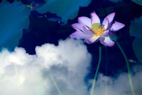 历代祖师大德的着作里，寻找得到的念佛秘诀