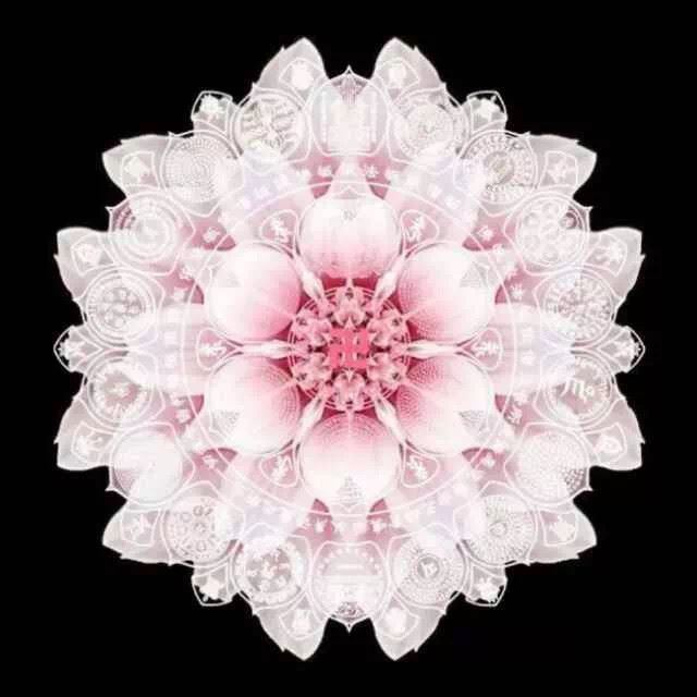 佛之念众生，远甚于众生之念佛