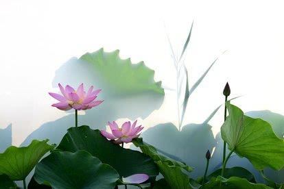 行住坐卧不离阿弥陀佛，阿弥陀佛，是我们在这个世间最大的靠山