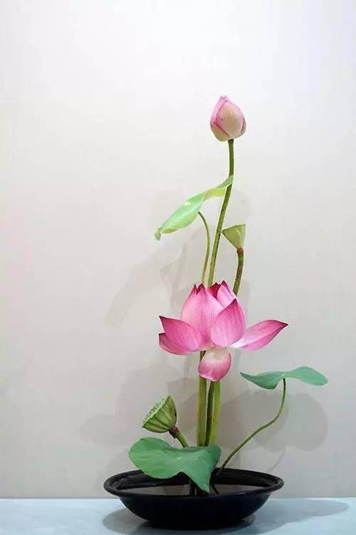 发决定心，临命终时，定要往生西方极乐世界