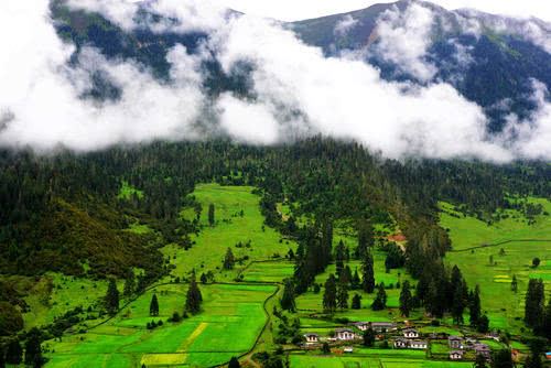 说不定前世，前前世，就是在男女欲望上功亏一篑