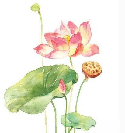 极乐世界生活惬意自在，是最适合生活的地方！是最美好殊胜的居所