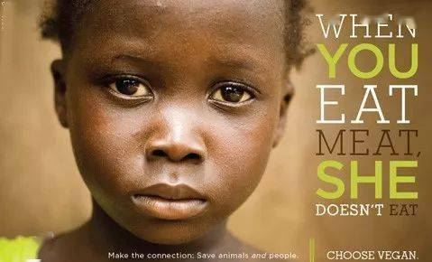 为什么全世界这么多人饿着肚子，素食者却要去拯救动物？