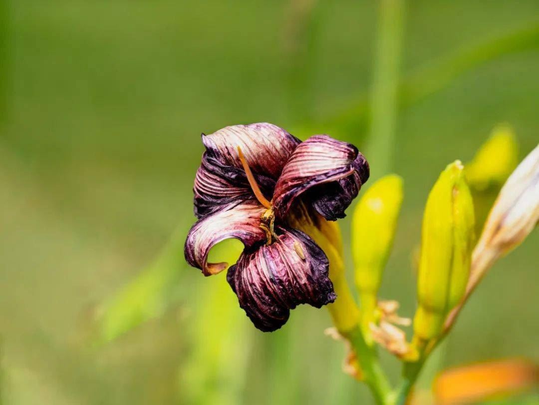 《黄帝内经》3句话，把疾病的起因都讲透了！