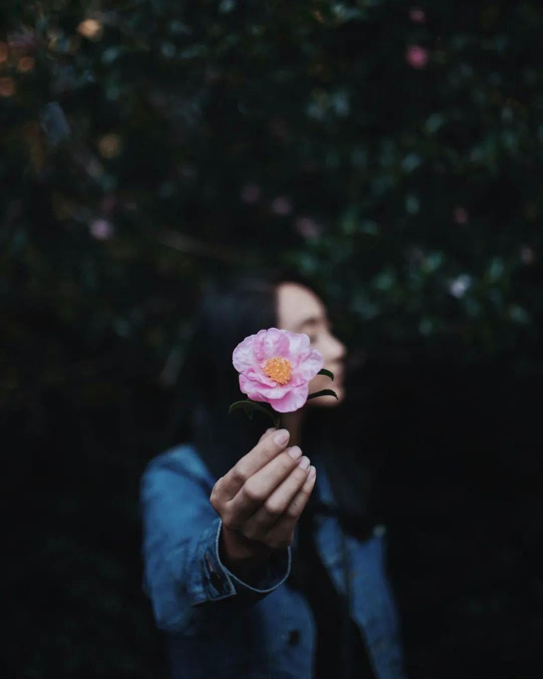 一个平凡女孩从无肉不欢到快乐素食的故事