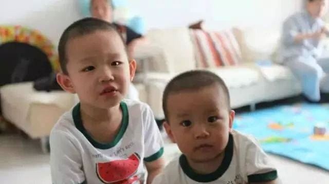 可爱到爆的素宝宝成长记录，改变你对素食的看法！