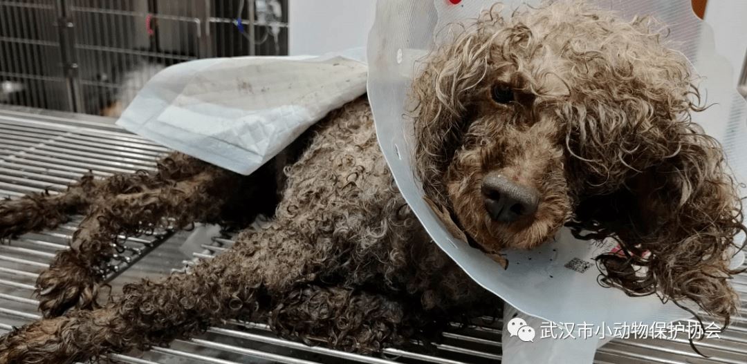 死亡究竟是残忍还是解脱