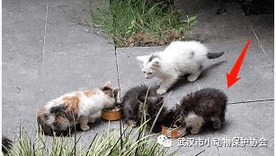 从死亡到幸福究竟有多远