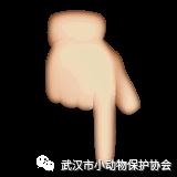 出发！一起回家吧