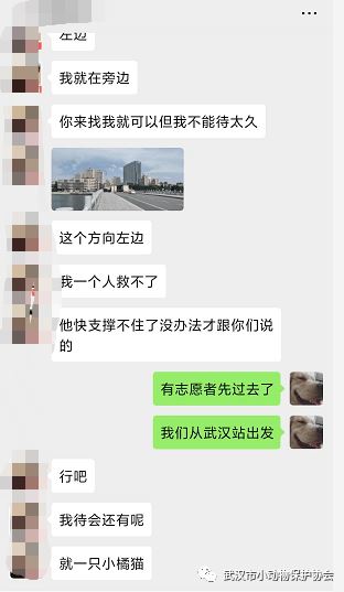 仅凭一根绳子，我们能否托起一条生命的重生？