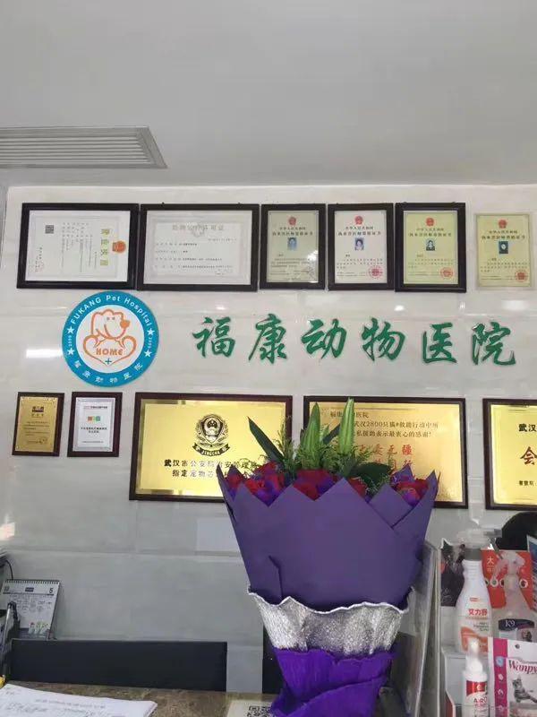 2020年1月流浪动物优惠绝育单领取数量公示