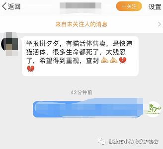 它们被打包成快递售卖，除了面临饥饿，更多的是死亡