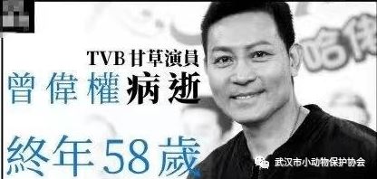 为流浪猫狗争取权益，不仅仅是他的遗愿，更是我们的一项使命