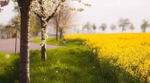 这两个故事很短，却震撼了上亿中国人！