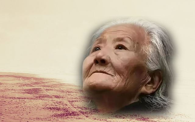 她孀居多年，历经沧桑，却心似莲花
