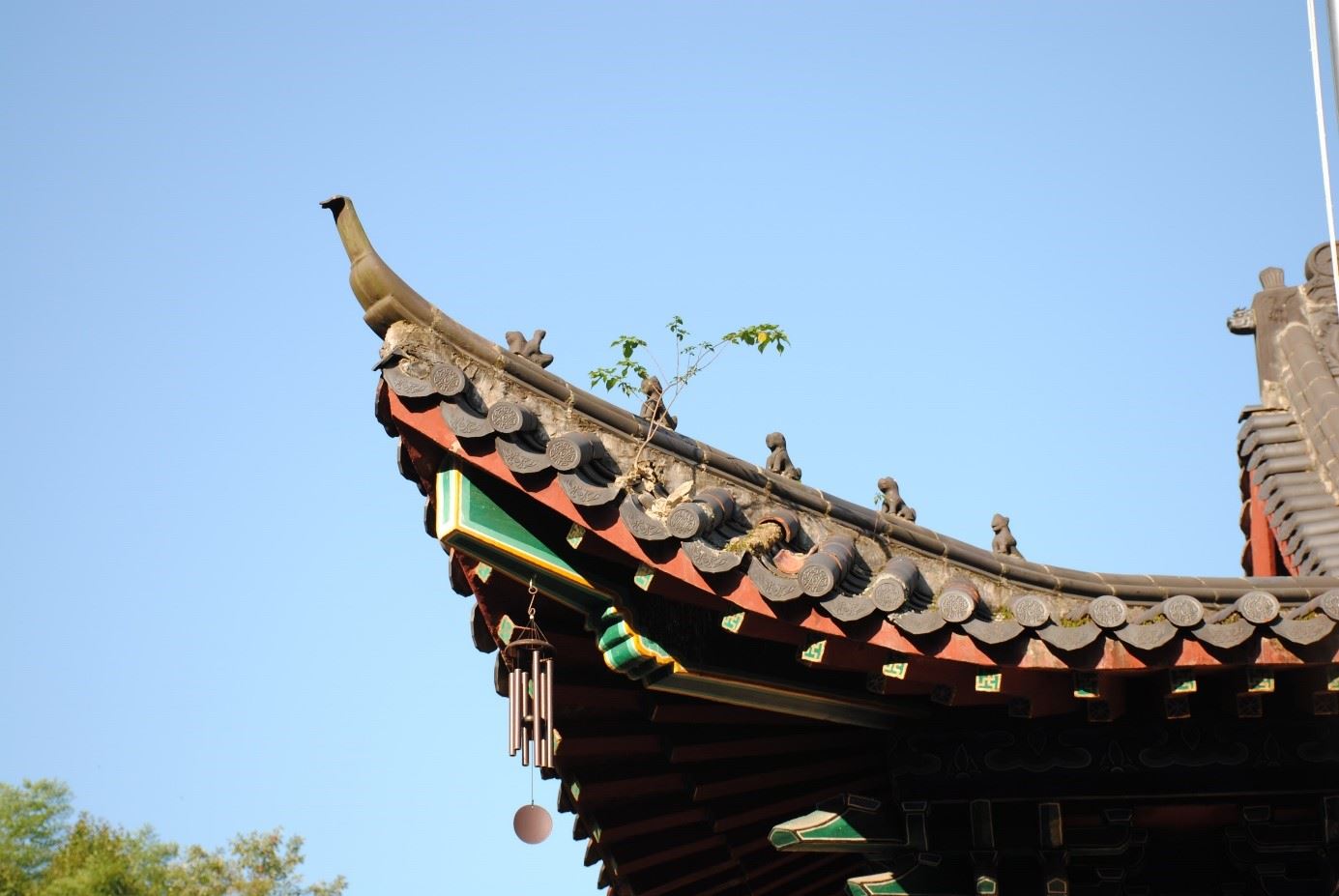 我在寺院度过6天没手机的日子，远离浮躁如倦鸟归林