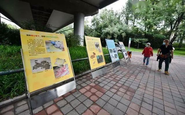 北京动物园上“大招”，随意投喂动物屡劝不改将被禁止入园