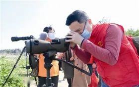 多部门与志愿者合作开展观鸟护鸟行动​有候鸟石狮越冬变留鸟