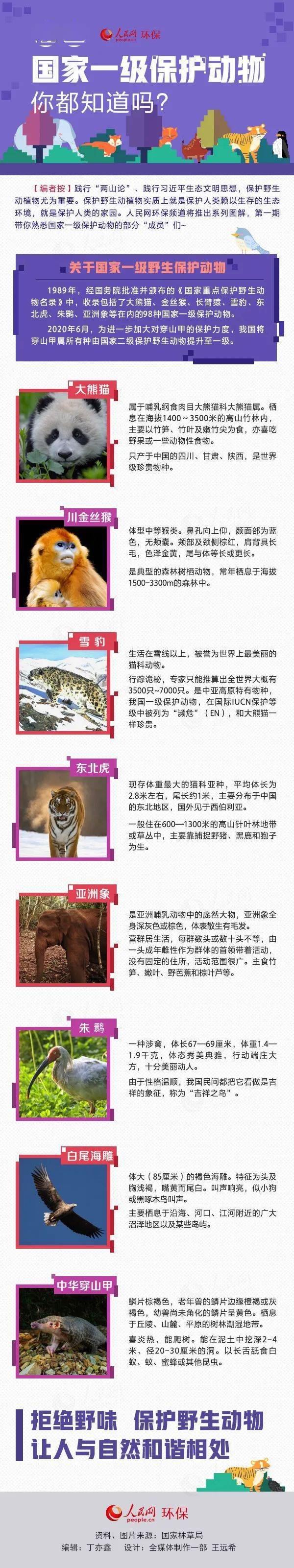 一张图带你了解这些国家一级保护动物