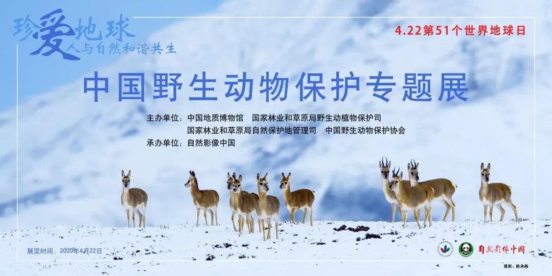 明天4.22第51个世界地球日，邀您一起观看《珍爱地球，人与自然和谐共生——中国野生动物保护专题展》