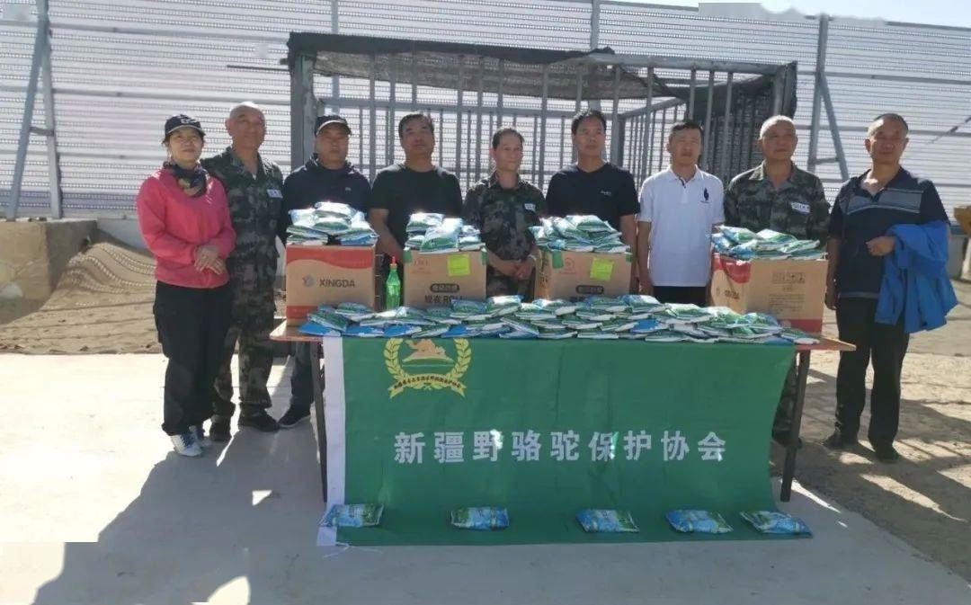 救助故事丨小野骆驼盼盼迎来了乌鲁木齐的亲人