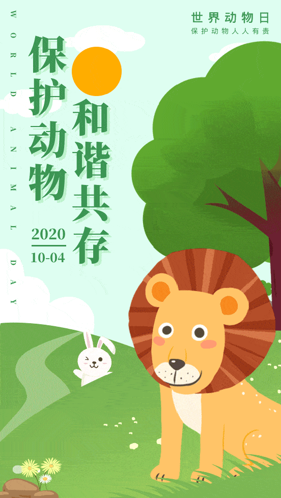 10月4日，世界动物日~欣赏动图海报，保护野生动物