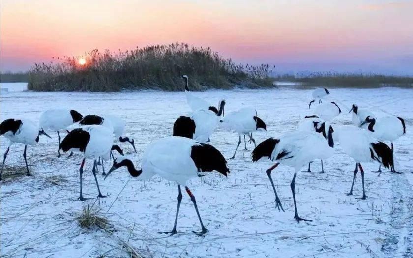 他们牺牲时如此年轻！致敬最亲爱的“家园卫士”！