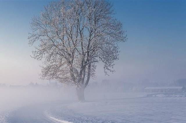 感悟｜正直做人，真诚待人