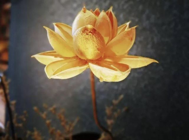 行住坐卧，心里只有一念南无阿弥陀佛，一直清清静静念下去