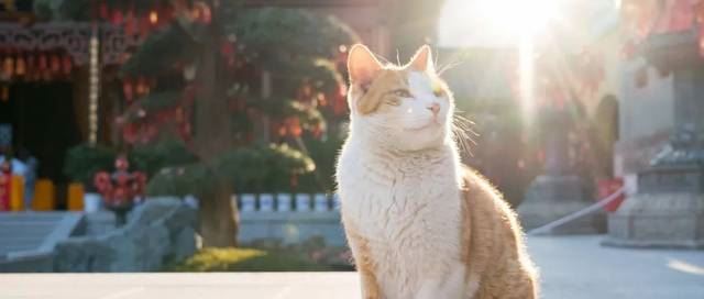 每天那么忙，修行时间从哪来？