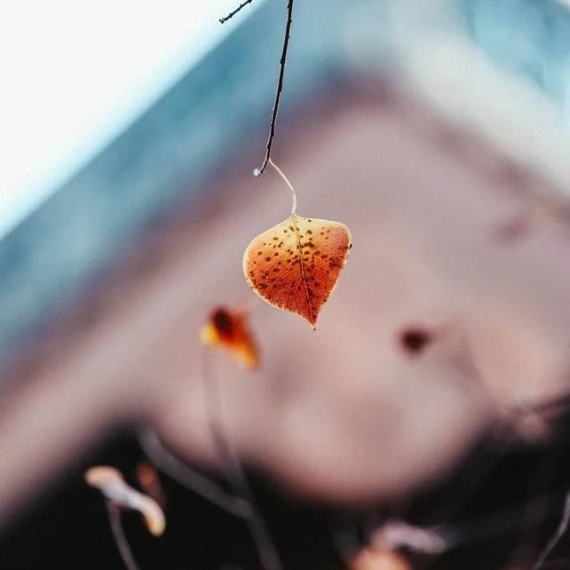 如此持戒，万万不可！