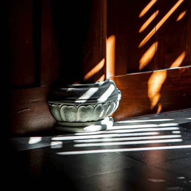 周一请吃素丨秋收冬藏，常喝它补虚损、益肠胃