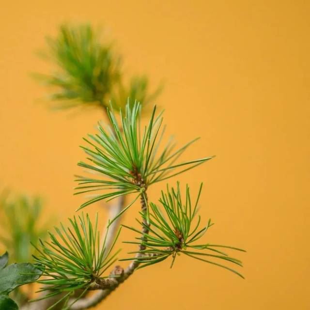 学佛，你不必非得那么做