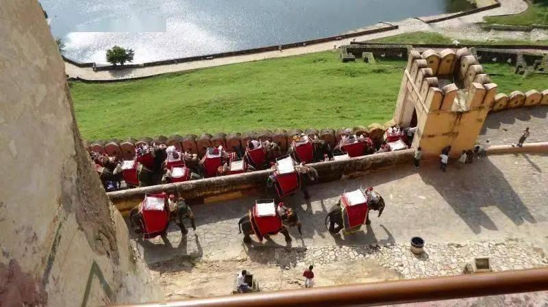 印度景点20头大象退出旅游娱乐业