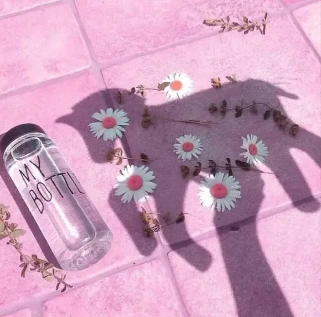 新娘説办素食婚宴，就是她最好的嫁妆