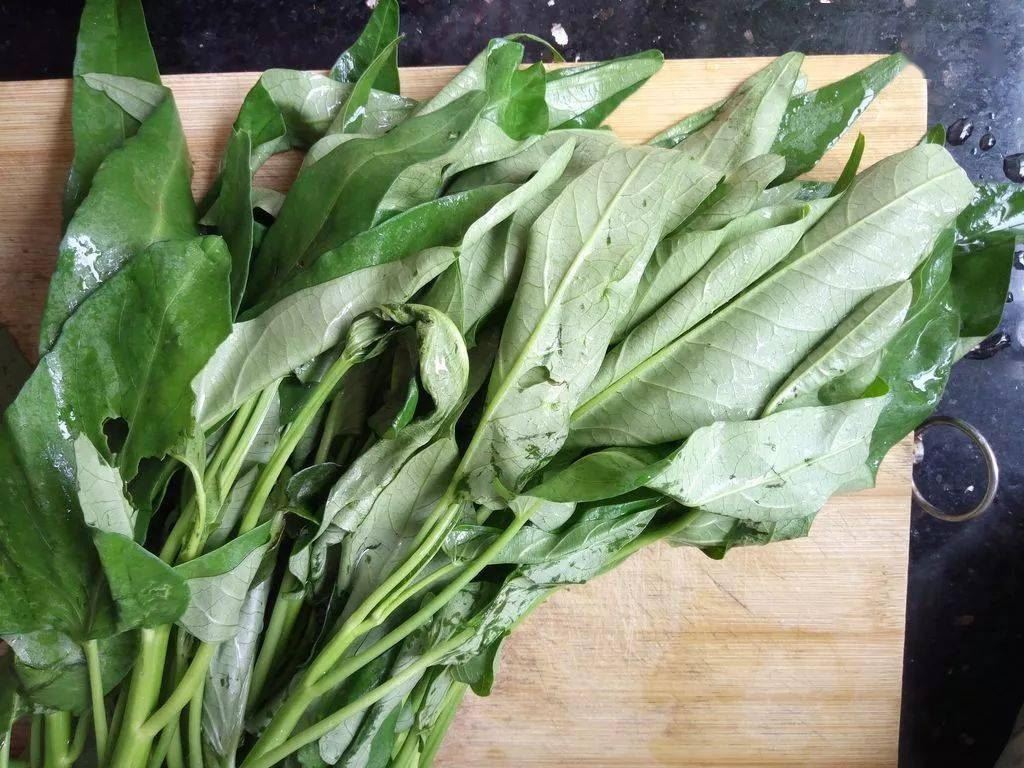 10个动作每天练5分钟|1个月后身体将更阳光健康！