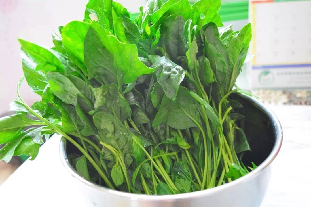 春天的菠菜鲜又嫩！一把菠菜5块钱，营养丰富，全家老小都爱吃！