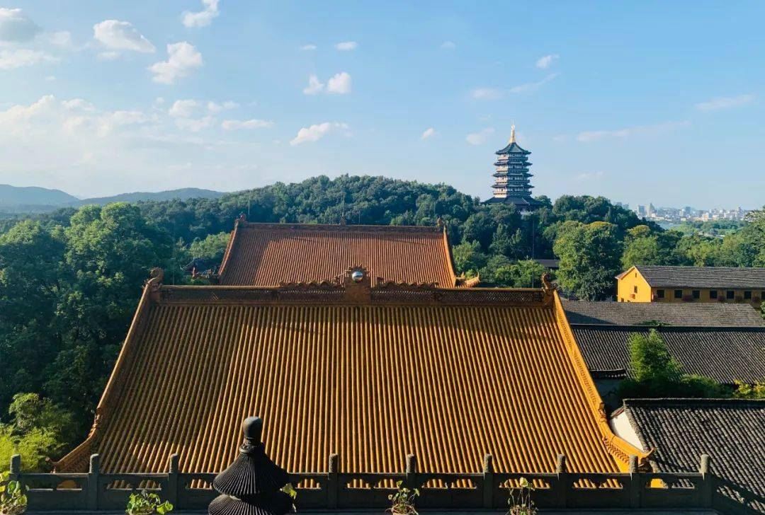 杭州素食餐厅遍地开花，这家素食餐厅二十元一位的自助，七八十种菜品