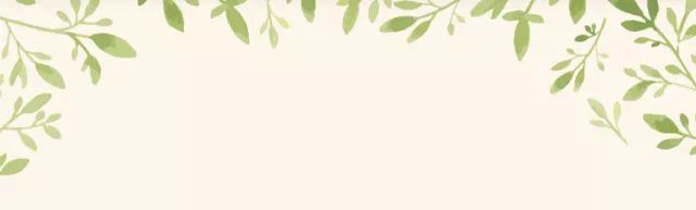 春暖花开，我们如约而至|叶叶菩提等您到来!
