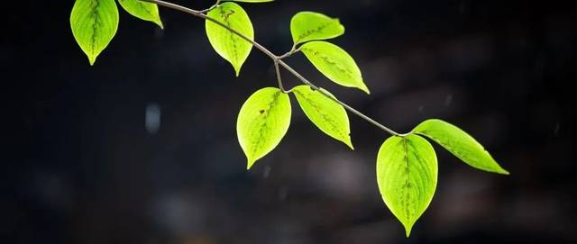 因为这三种执着失去真正的快乐，不智也不值！