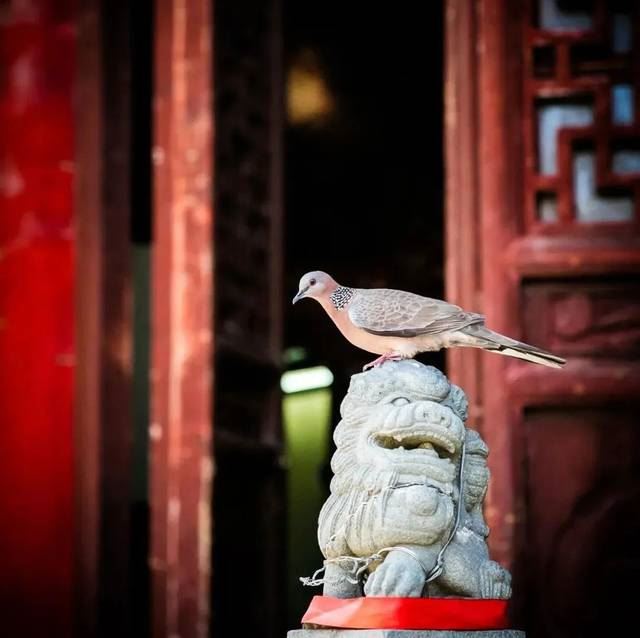 每一天，都有新的光明升起