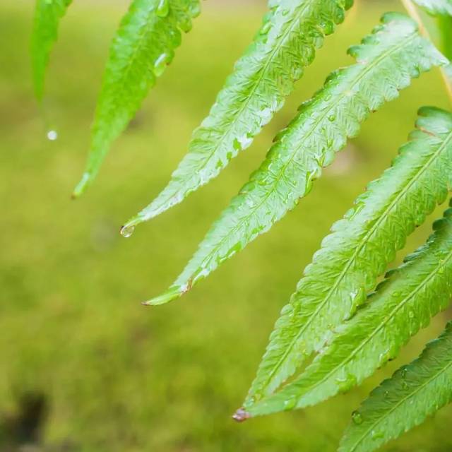 说话体现一个人的修养，更是一种修行