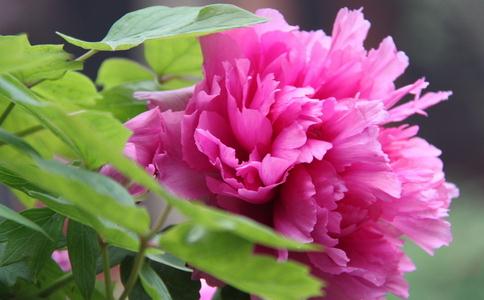 早知三日富贵十年 佛说改变命运的方法秘诀