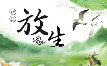 放生有什么好处？放生好处的真实例子