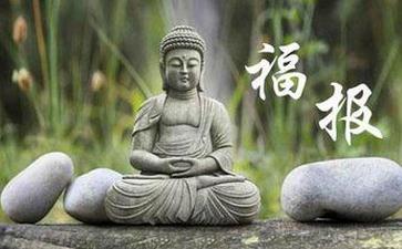 放生、行善带给我无限福报