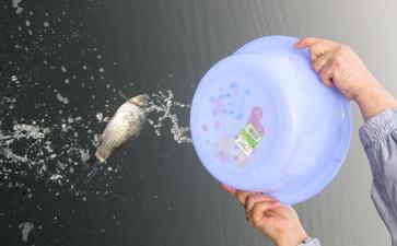 常行放生，消业迅速，福德大增！