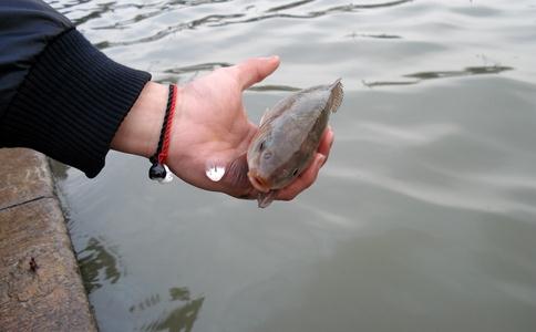 放生是得福报最快的方法