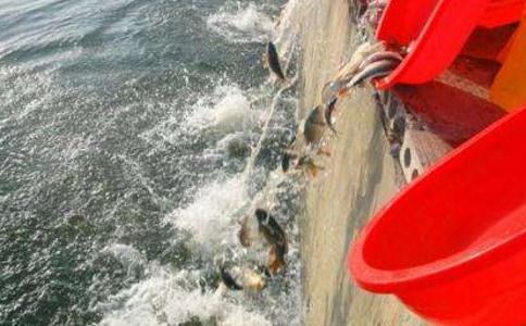 关于放生的功德 放生有如此震憾的大功德利益